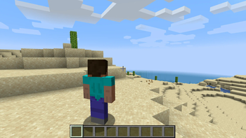 Скриншот Shoulder Surfing Reloaded: 5