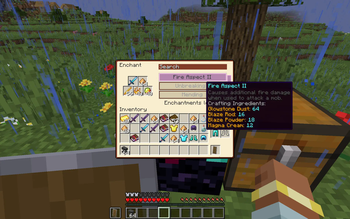 Скриншот Enchanting System Overhaul: 3