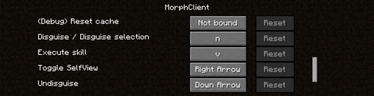 Скриншот FeatherMorphClient: 3