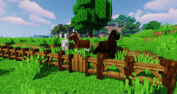 Скриншот Macaw's Fences and Walls: 4