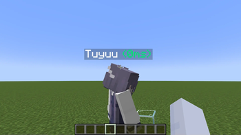 Скриншот PingNameTags: 1