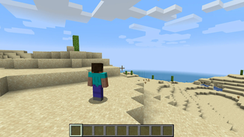 Скриншот Shoulder Surfing Reloaded: 3