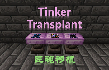 Скриншот Tinker Transplant: 1