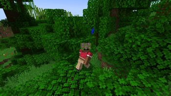 Скриншот Server Hats: 2