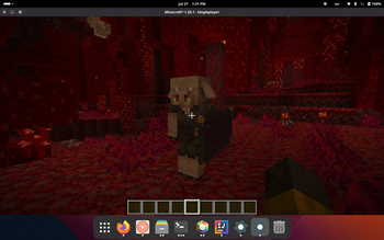 Скриншот Bygone Nether / Eternal Nether Fixes: 1