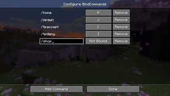 Скриншот BindCommands: 3