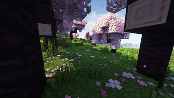 Скриншот Nemo's Blooming Blossom: 1